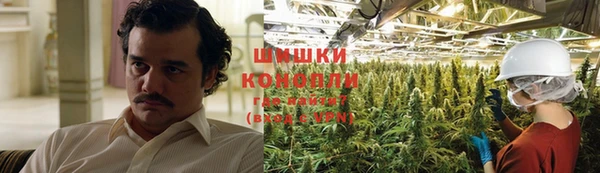 ГАЛЛЮЦИНОГЕННЫЕ ГРИБЫ Бородино