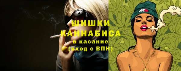 ГАЛЛЮЦИНОГЕННЫЕ ГРИБЫ Бородино