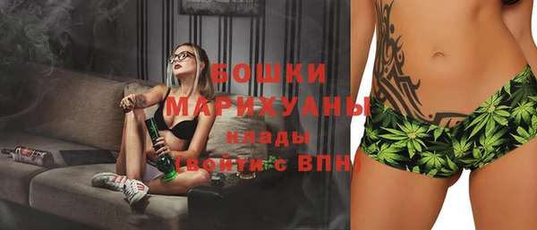 ГАЛЛЮЦИНОГЕННЫЕ ГРИБЫ Бородино