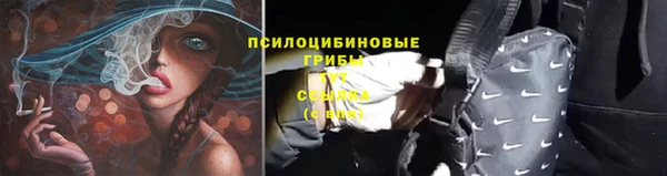 apvp Бугульма