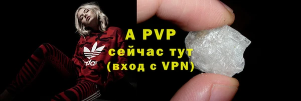 стаф Новодвинск